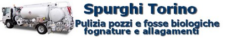 Logo Spurghi Torino Demarin