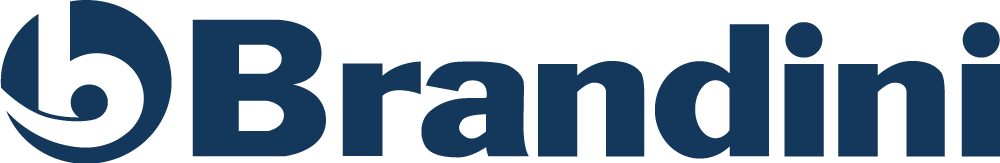 Logo Gruppo Brandini